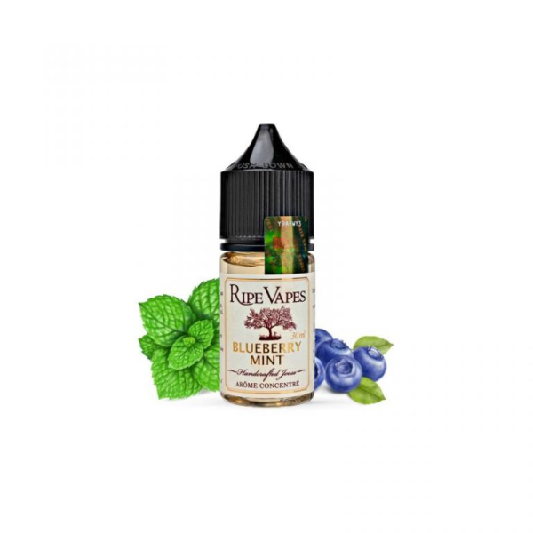 سالت نیکوتین رایپ ویپز بلوبری نعناع RIPE VAPES BLUEBERRY MINT (30ml)