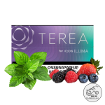 سیگار ترا پرپل ویو (انواع توت و نعنا) Terea Purple Wave